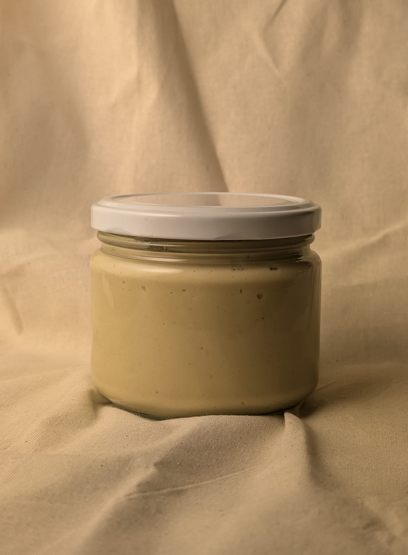 Lacto Fermeted Chickpea and Koji Rice Hummus